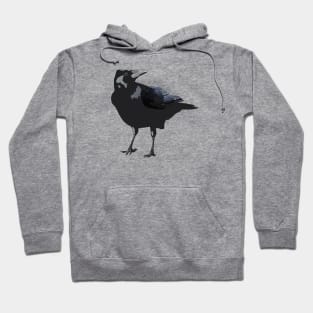 Raven Hoodie